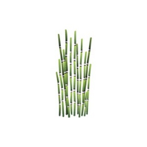 Horsetail Reeds